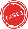 case3