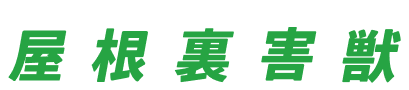 屋根裏害獣