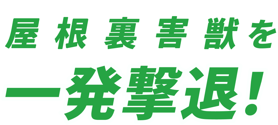 屋根裏害獣を一発撃退！