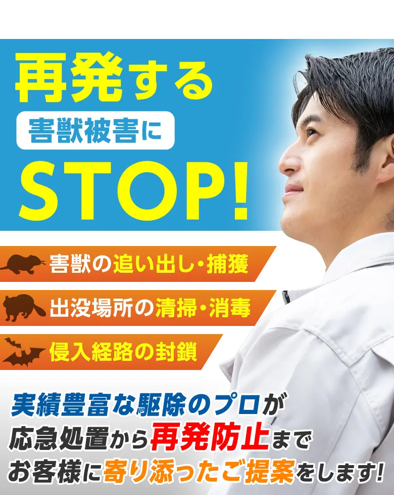 再発する害獣被害にSTOP　害獣の追い出し・捕獲　出没場所の清掃・消毒　侵入経路の封鎖　実績豊富な駆除のプロが応急処置から再発防止までお客様に寄り添ったご提案をします！