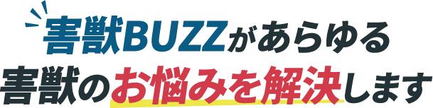 ”害獣BUZZがあらゆる害獣のお悩みを解決します”