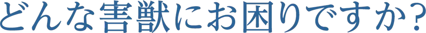 どんな害獣にお困りですか？