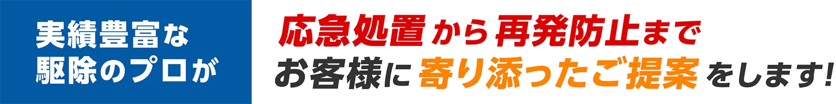 実績豊富な駆除のプロが応急処置から再発防止までお客様に寄り添ったご提案をします！