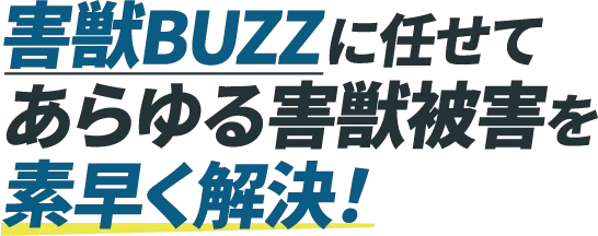 ”害獣BUZZに任せてあらゆる害獣被害を素早く解決！”