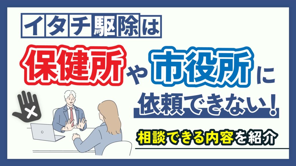 イタチ駆除は保健所や市役所に依頼できない！相談できる内容を紹介
