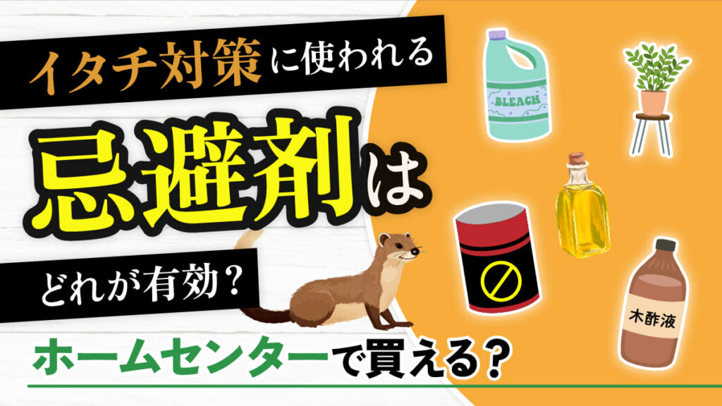 イタチ対策に使われる忌避剤はどれが有効？ホームセンターで買える？