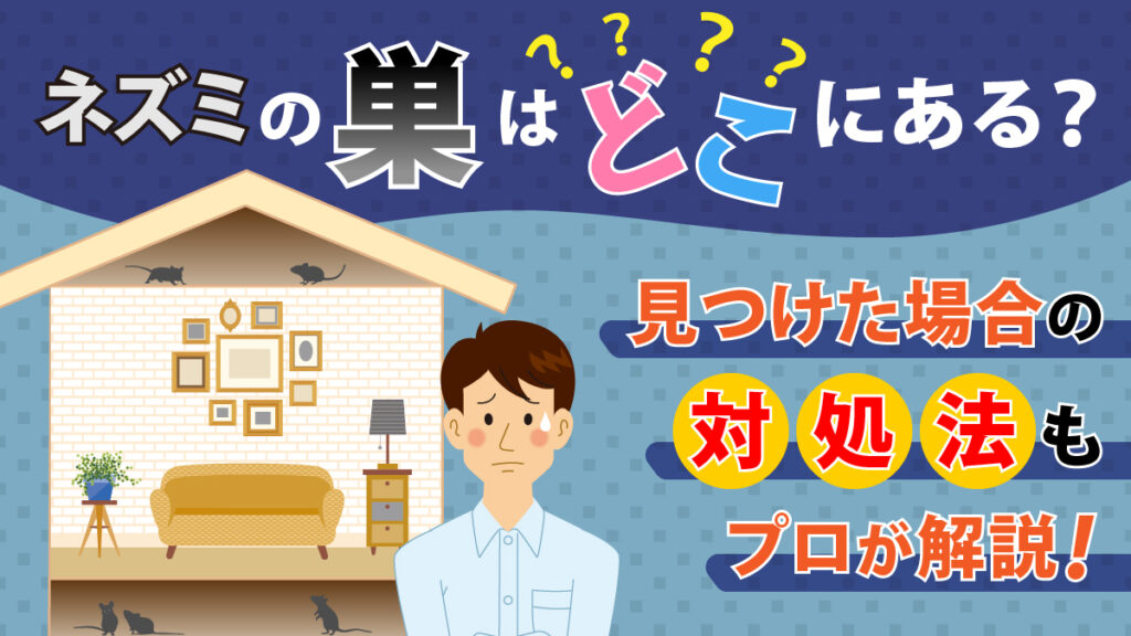 ネズミの巣はどこにある？見つけた場合の対処法もプロが解説！
