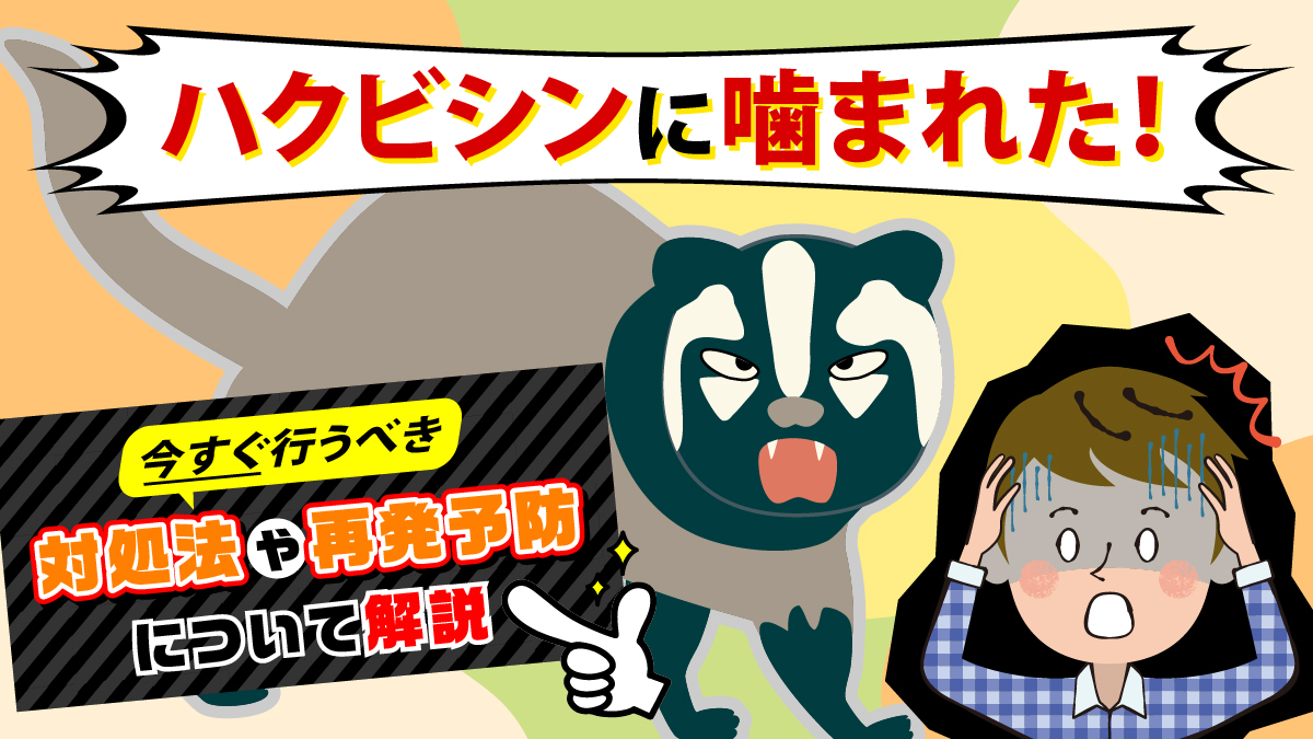 ハクビシン 噛ま れる