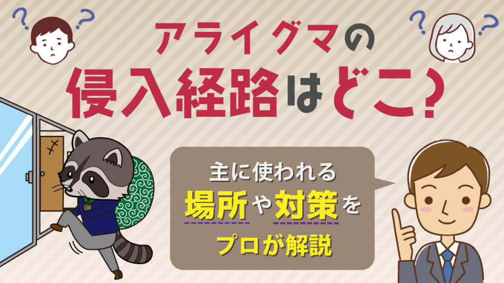 アライグマの侵入経路はどこ？主に使われる場所や対策をプロが解説