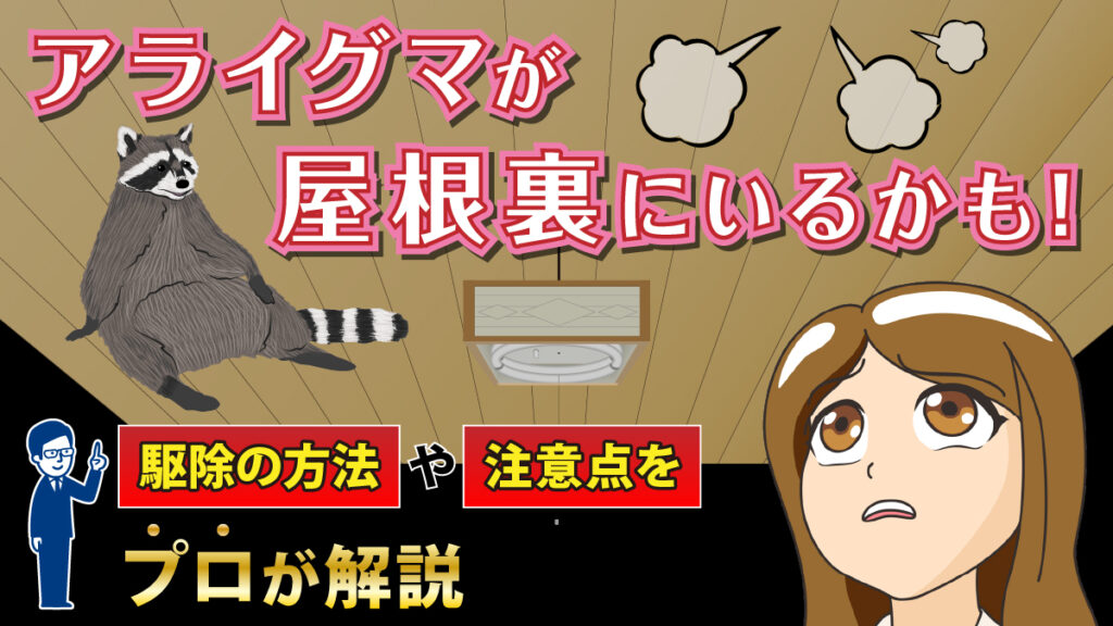 アライグマが屋根裏にいるかも！駆除の方法や注意点をプロが解説