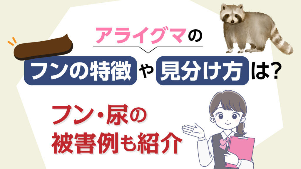 アライグマのフンの特徴や見分け方は？フン・尿の被害例も紹介