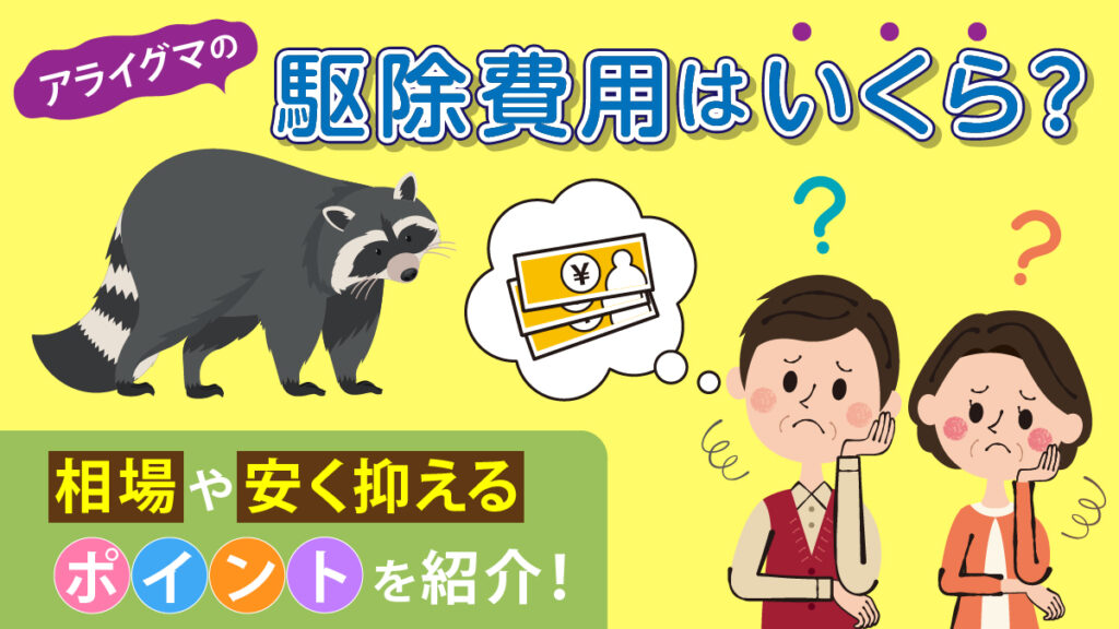 アライグマの駆除費用はいくら？相場や安く抑えるポイントを紹介！