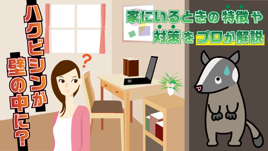 ハクビシンが壁の中に？家にいるときの特徴や対策をプロが解説