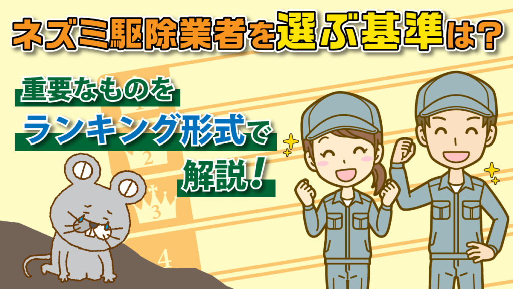 ネズミ駆除業者を選ぶ基準は？重要なものをランキング形式で解説！