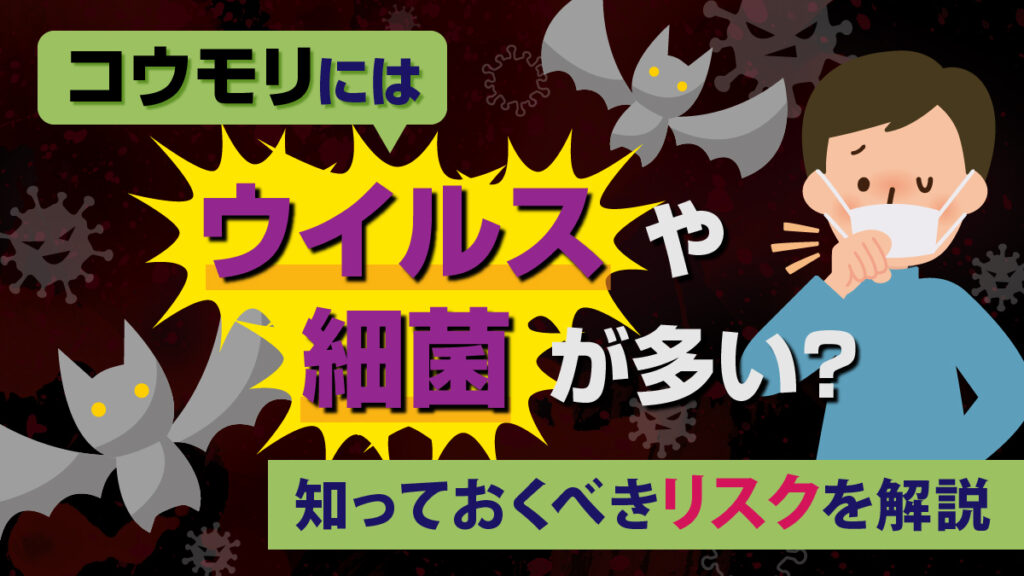 コウモリにはウイルスや細菌が多い？知っておくべきリスクを解説