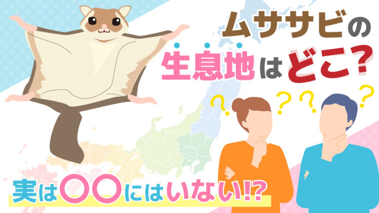 ムササビの生息地はどこ?実は〇〇にはいない!?|害獣BUZZ - 協会加盟店&長期保証で安心の専門業者