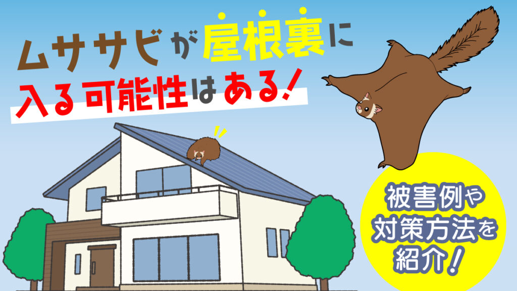ムササビが屋根裏に入る可能性はある!被害例や対策方法を紹介!|害獣BUZZ - 協会加盟店&長期保証で安心の専門業者