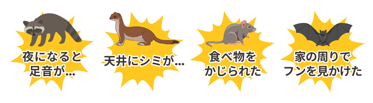 夜になると足音が… 天井にシミが… 食べ物を荒らされる 家の周りでフンを見かけた