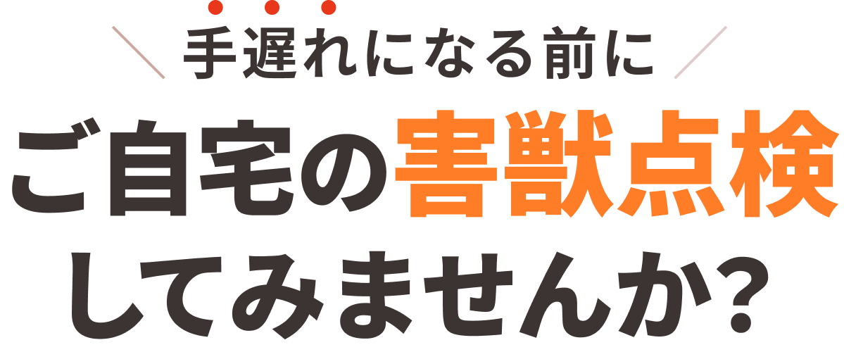 手遅れになる前に ご自宅の害獣点検してみませんか？