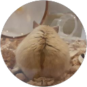 MARlA HASE