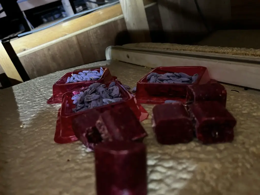 市川市 ネズミ駆除 毒餌 設置