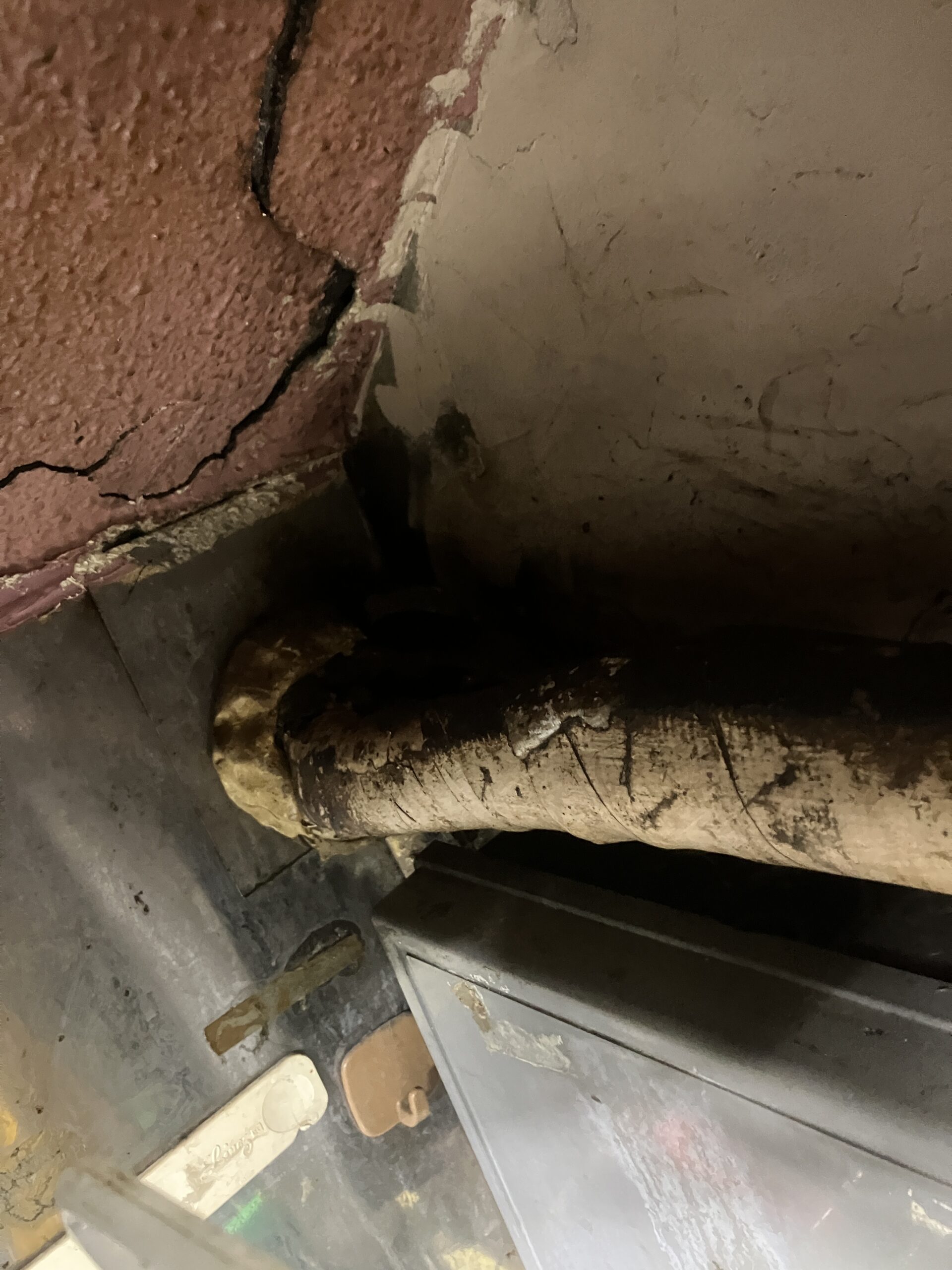 東京都千代田区ネズミ駆除現場の写真5