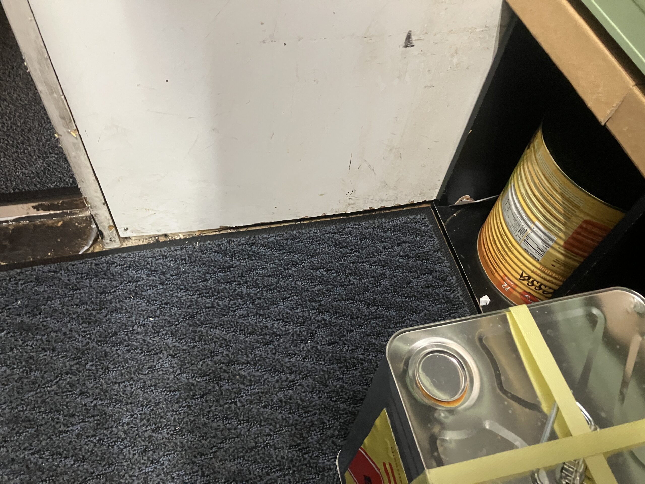 東京都千代田区ネズミ駆除現場の写真8