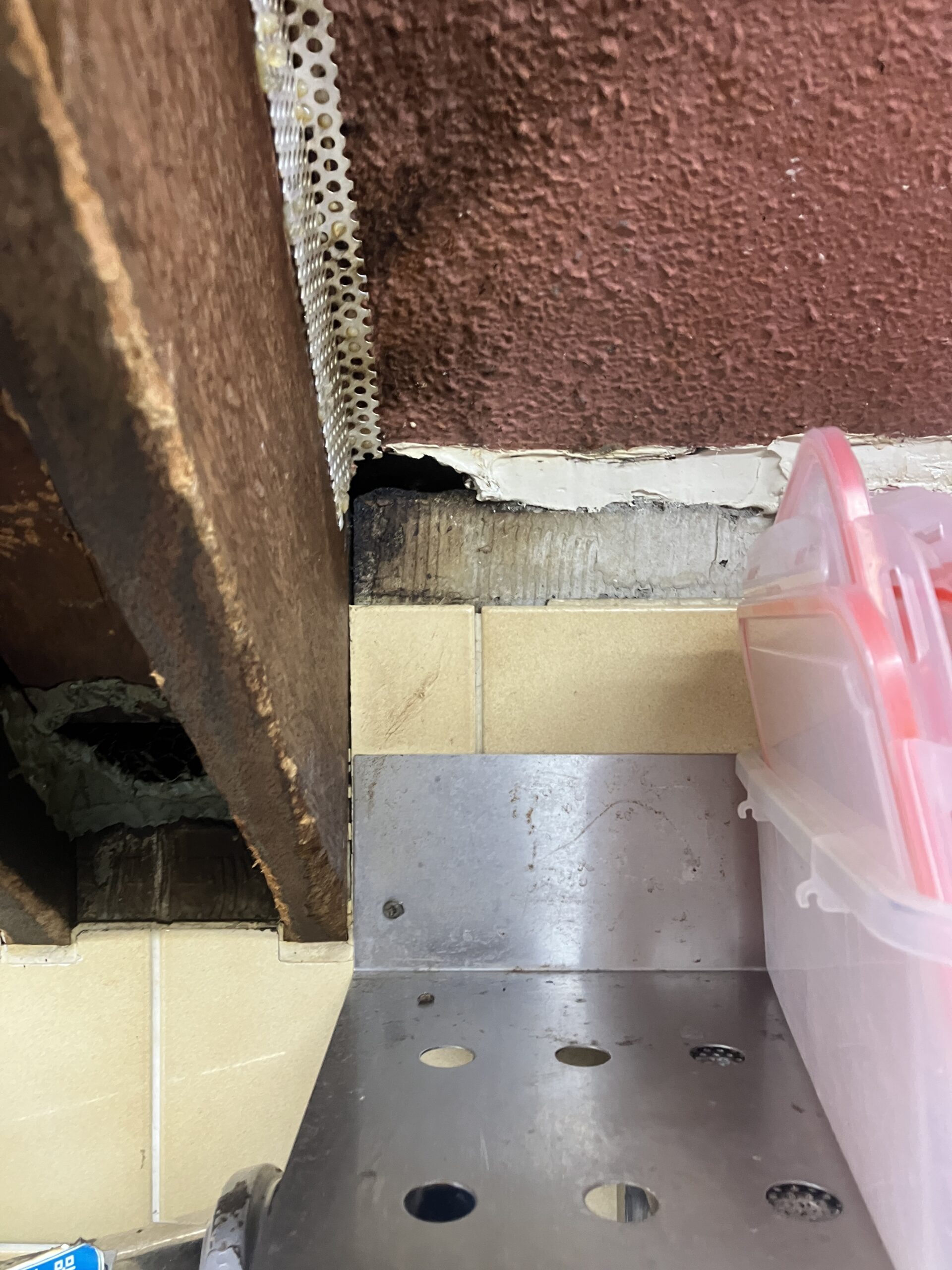 東京都千代田区ネズミ駆除現場の写真6