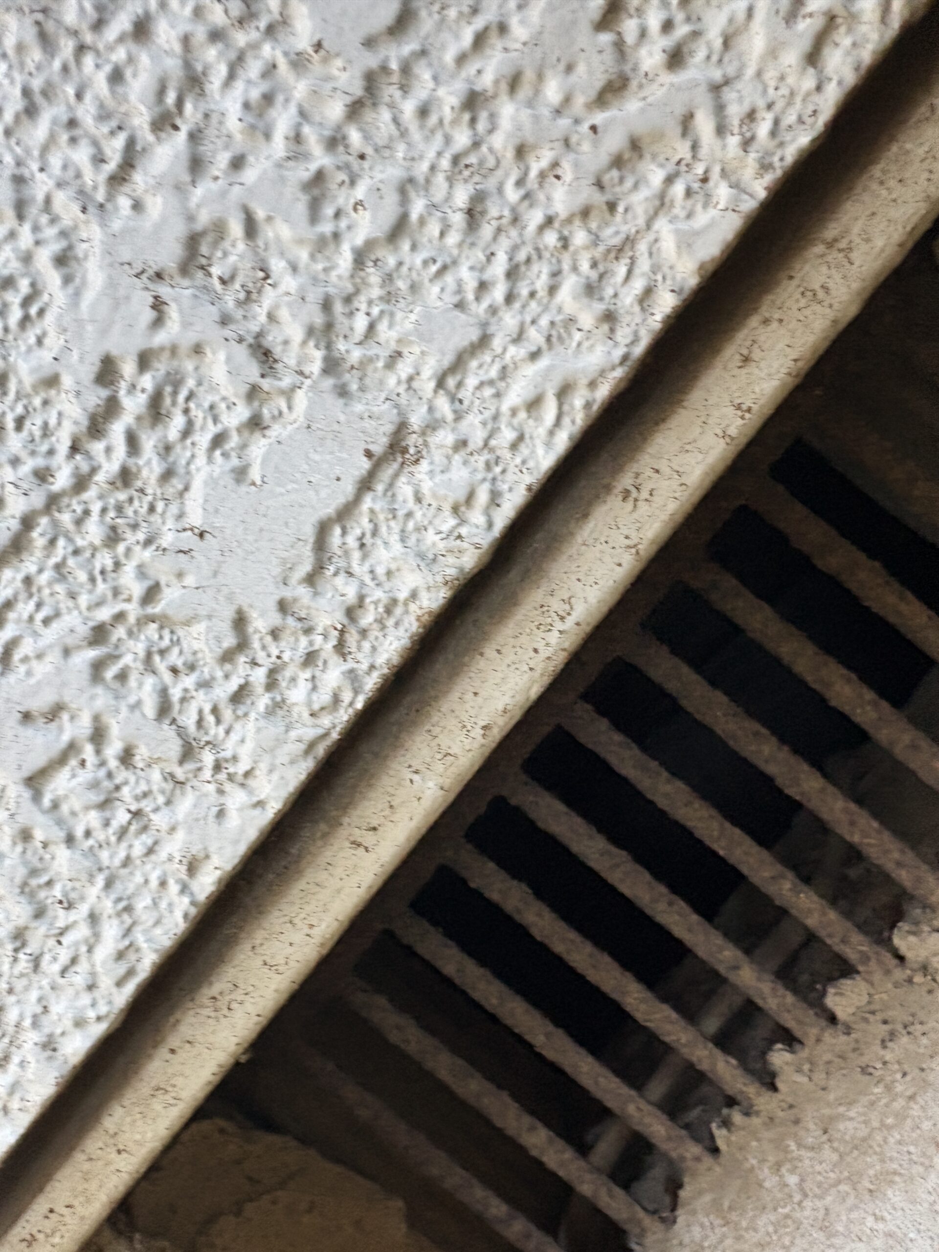 千葉県千葉市ネズミ駆除現場の写真34