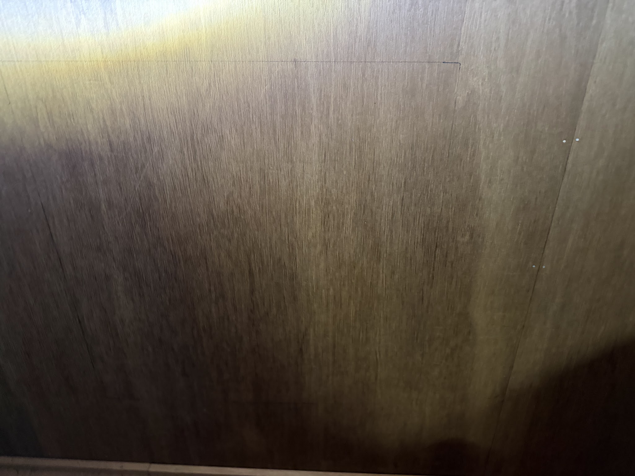 東京都目黒区ネズミ駆除現場の写真12