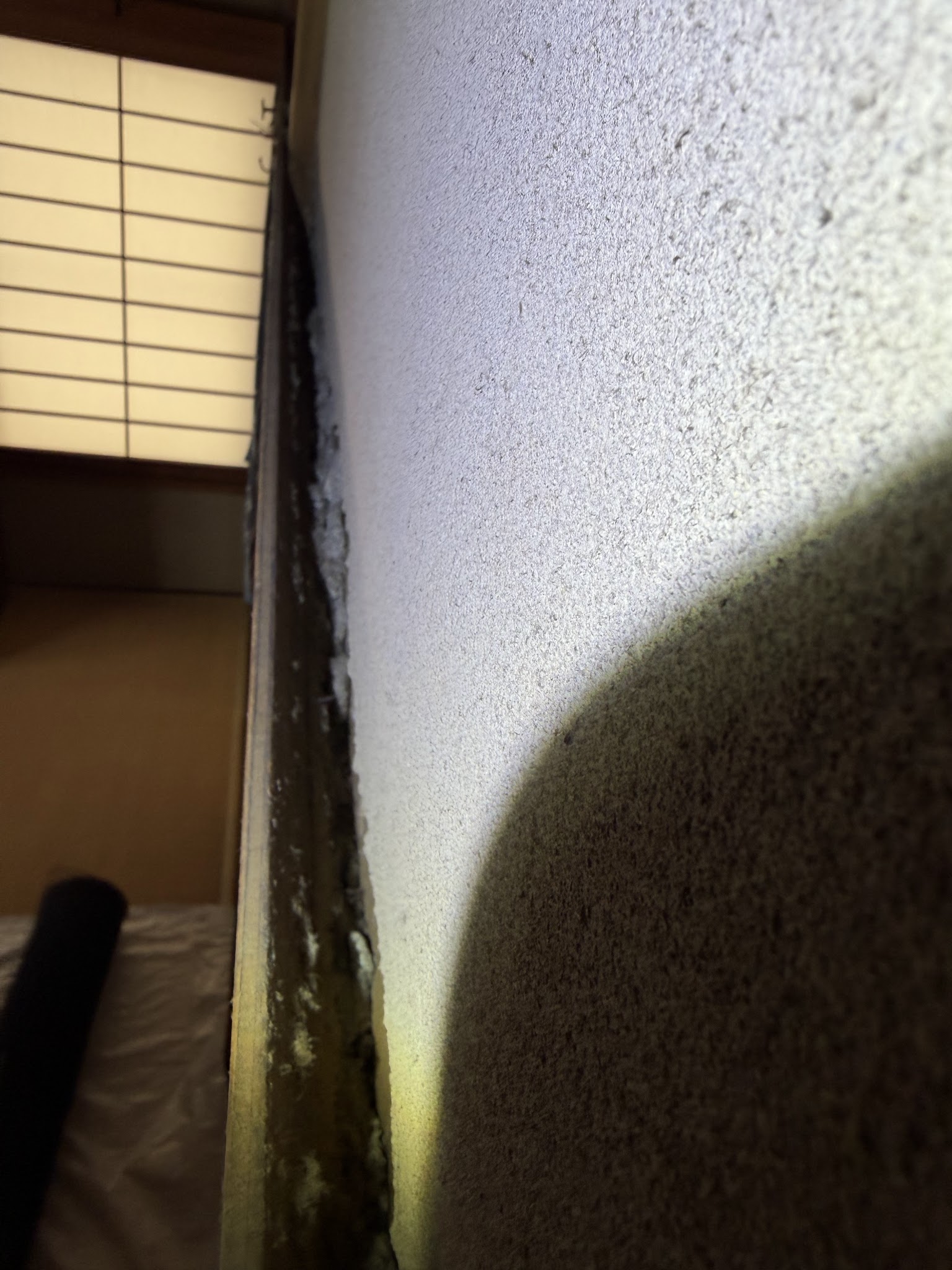 東京都目黒区ネズミ駆除現場の写真24