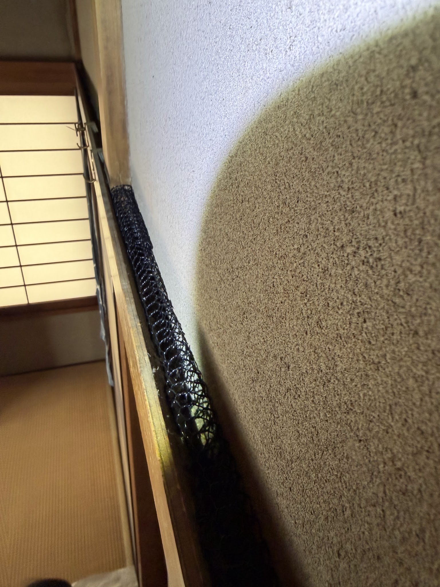 東京都目黒区ネズミ駆除現場の写真20