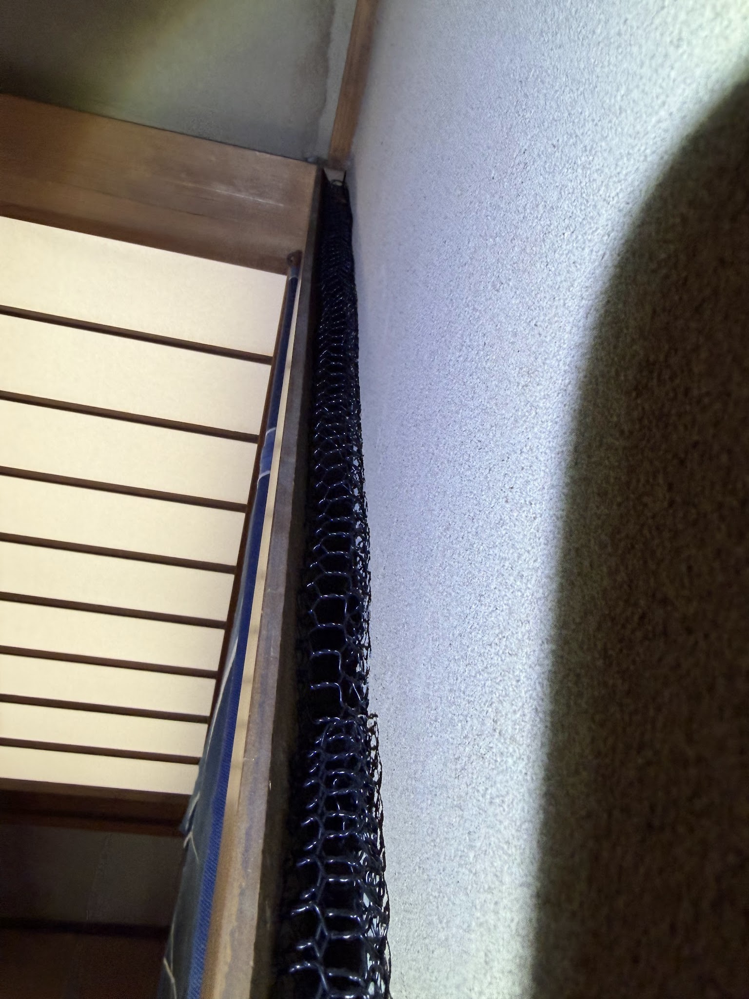 東京都目黒区ネズミ駆除現場の写真25