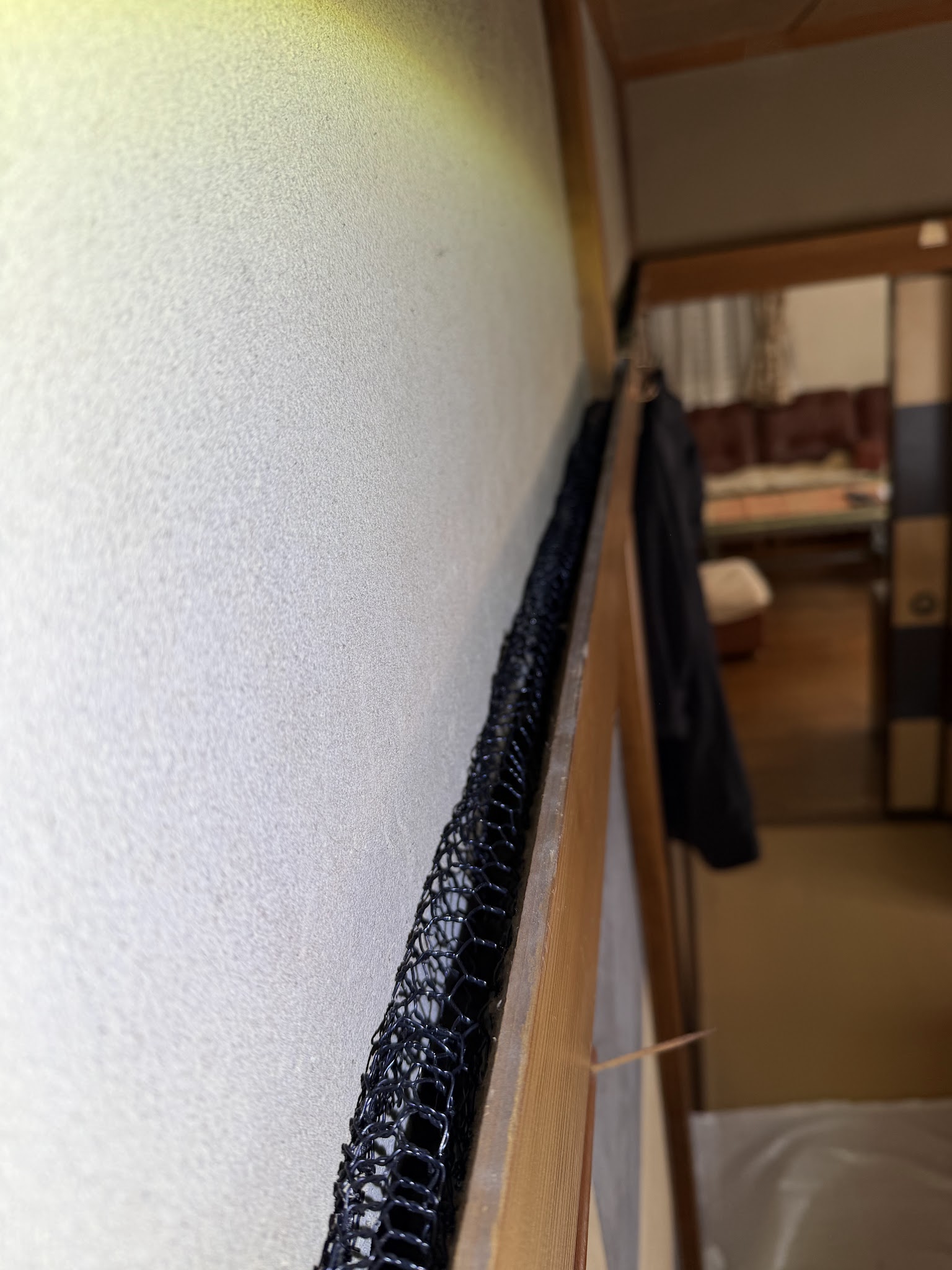 東京都目黒区ネズミ駆除現場の写真17