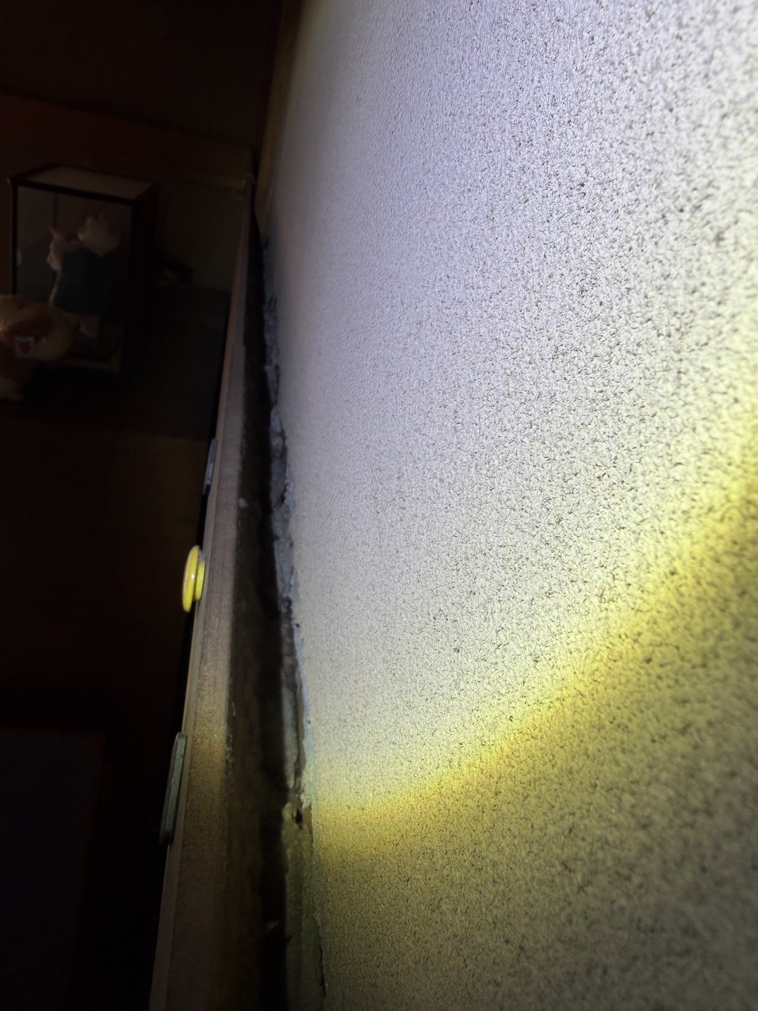 東京都目黒区ネズミ駆除現場の写真21