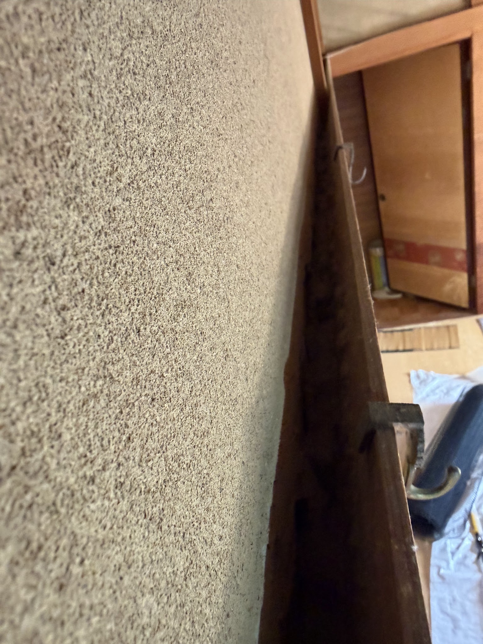 東京都目黒区ネズミ駆除現場の写真22