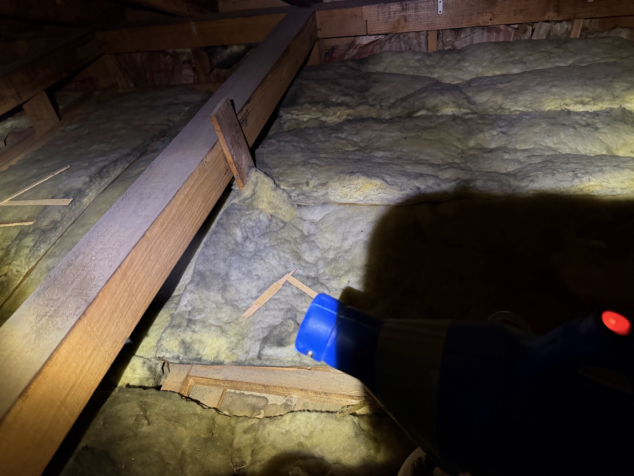 東京都目黒区ネズミ駆除現場の写真6