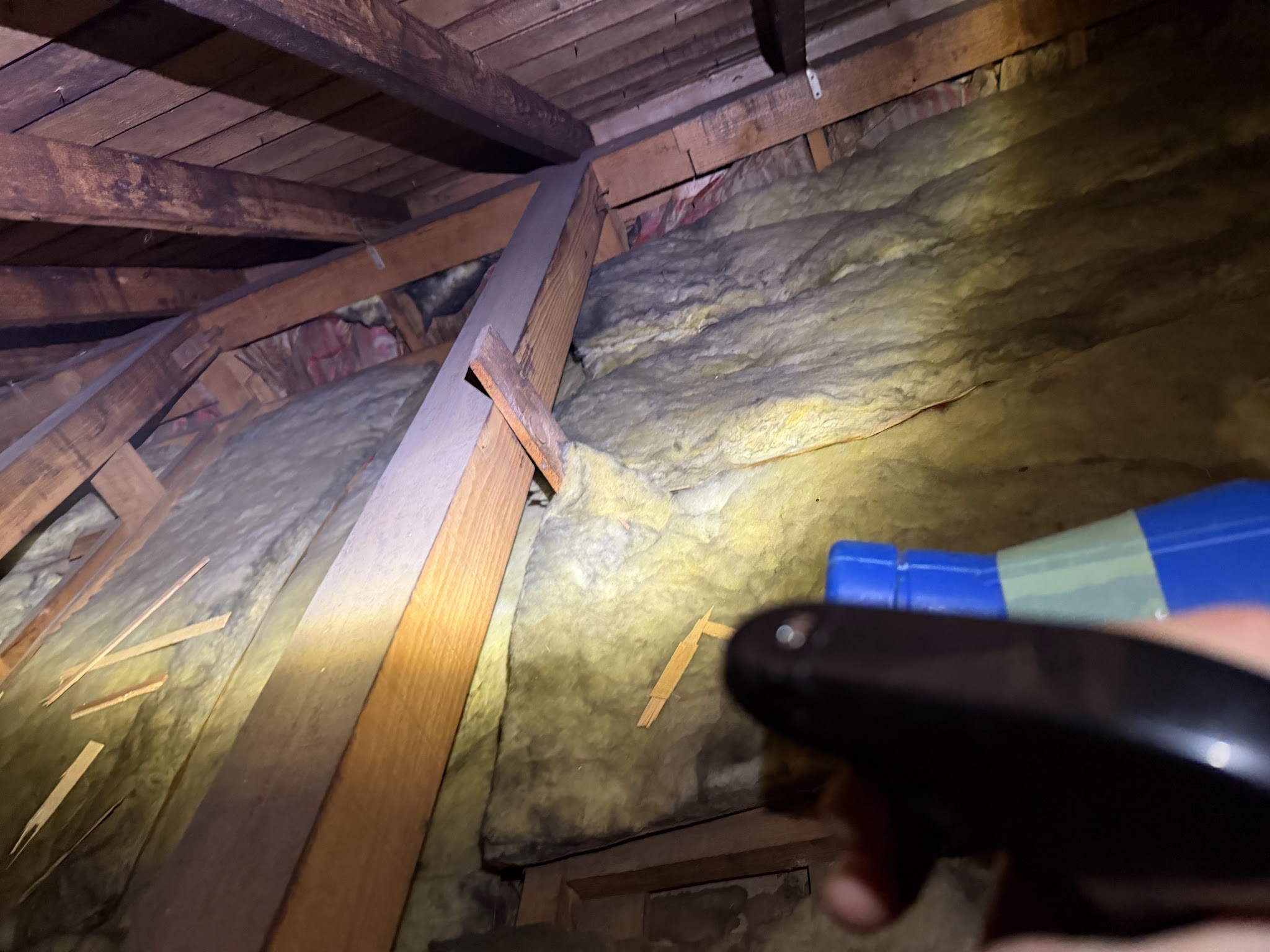 東京都目黒区ネズミ駆除現場の写真8