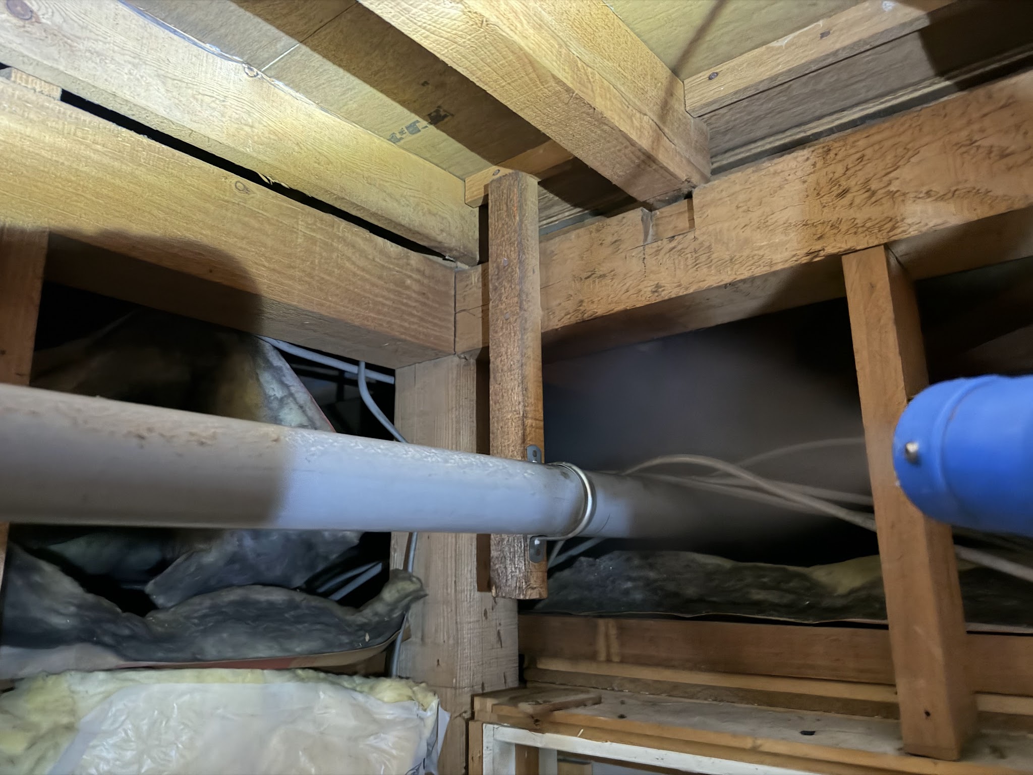 東京都目黒区ネズミ駆除現場の写真32