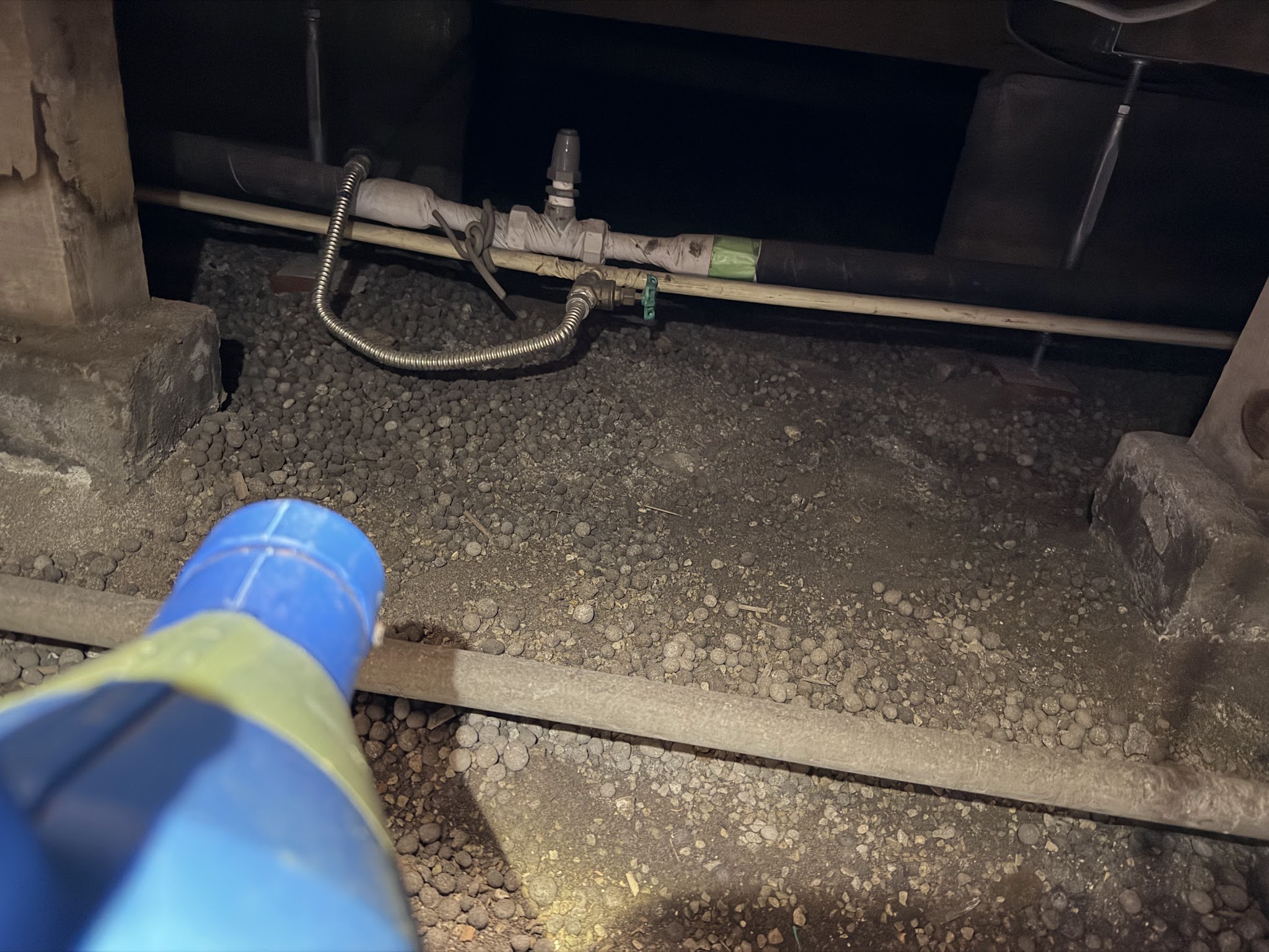 東京都目黒区ネズミ駆除現場の写真26