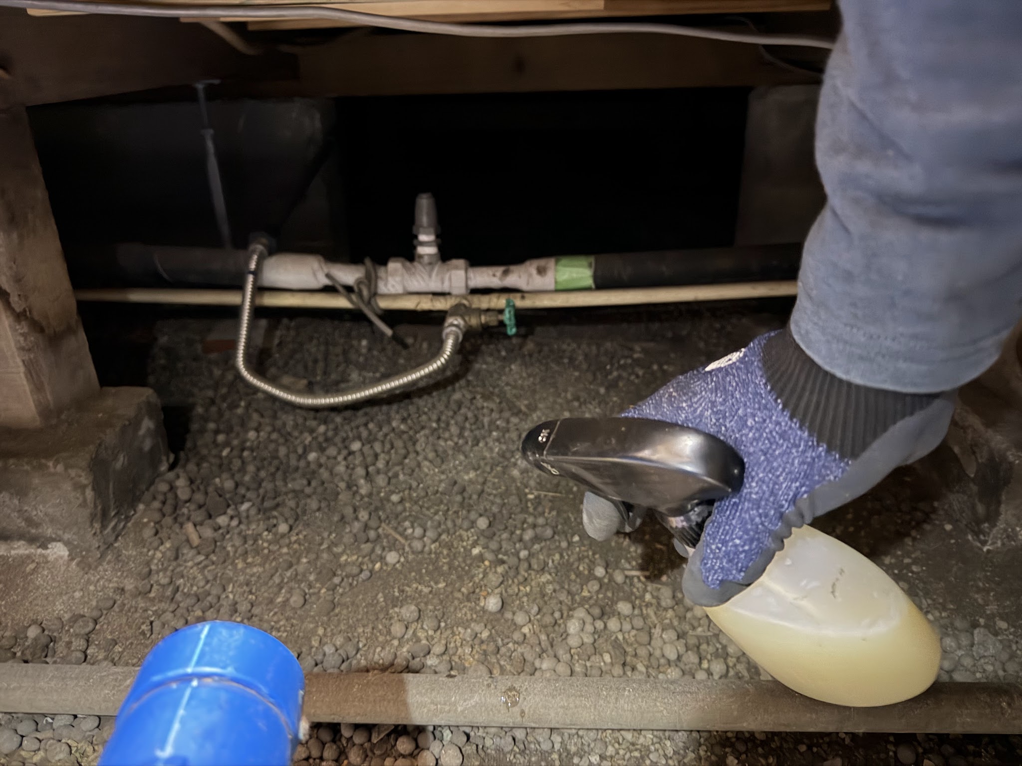 東京都目黒区ネズミ駆除現場の写真31