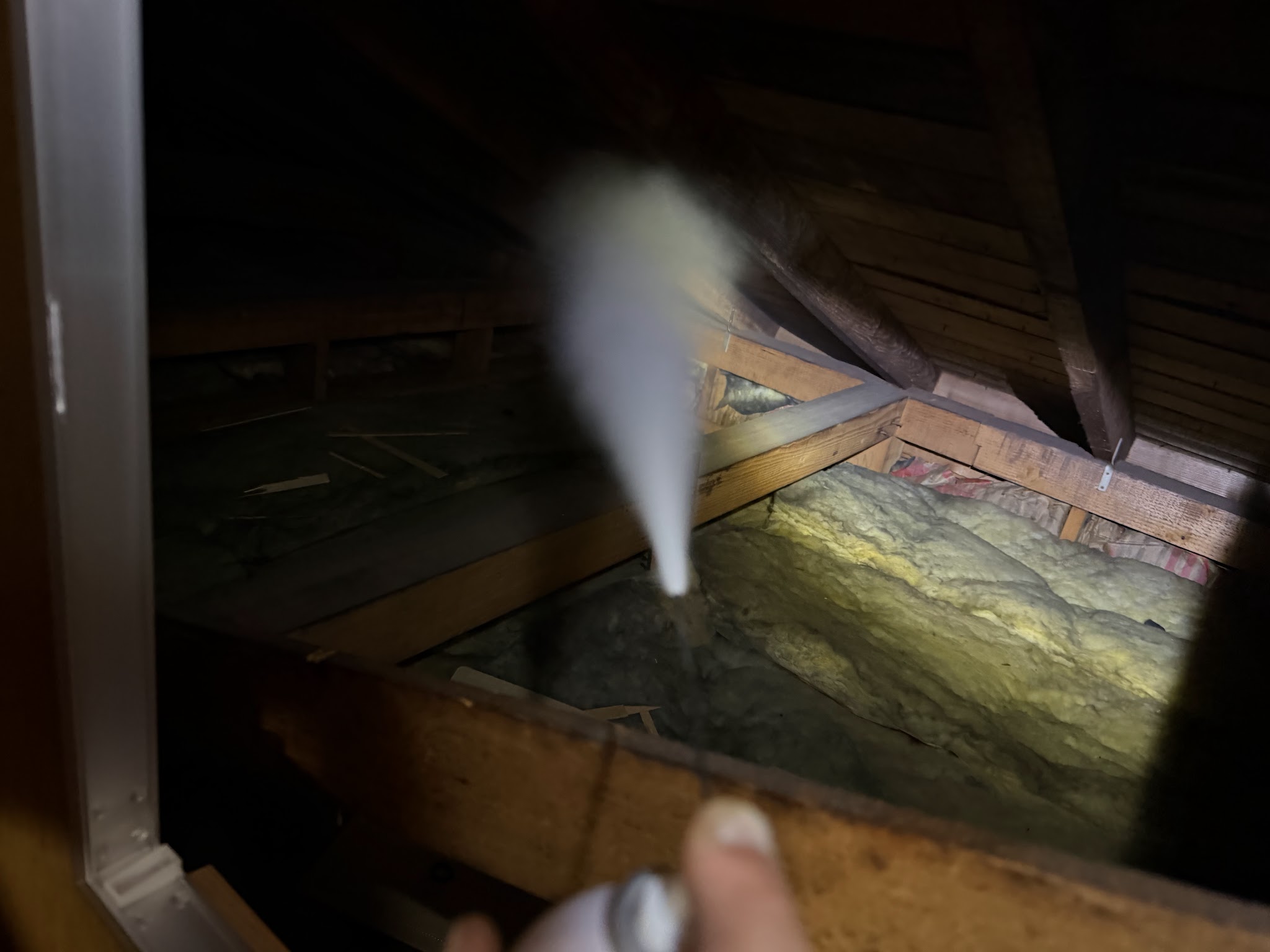 東京都目黒区ネズミ駆除現場の写真18