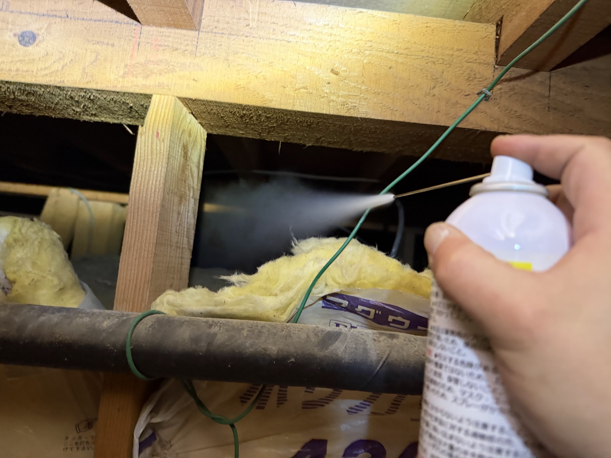 東京都目黒区ネズミ駆除現場の写真11