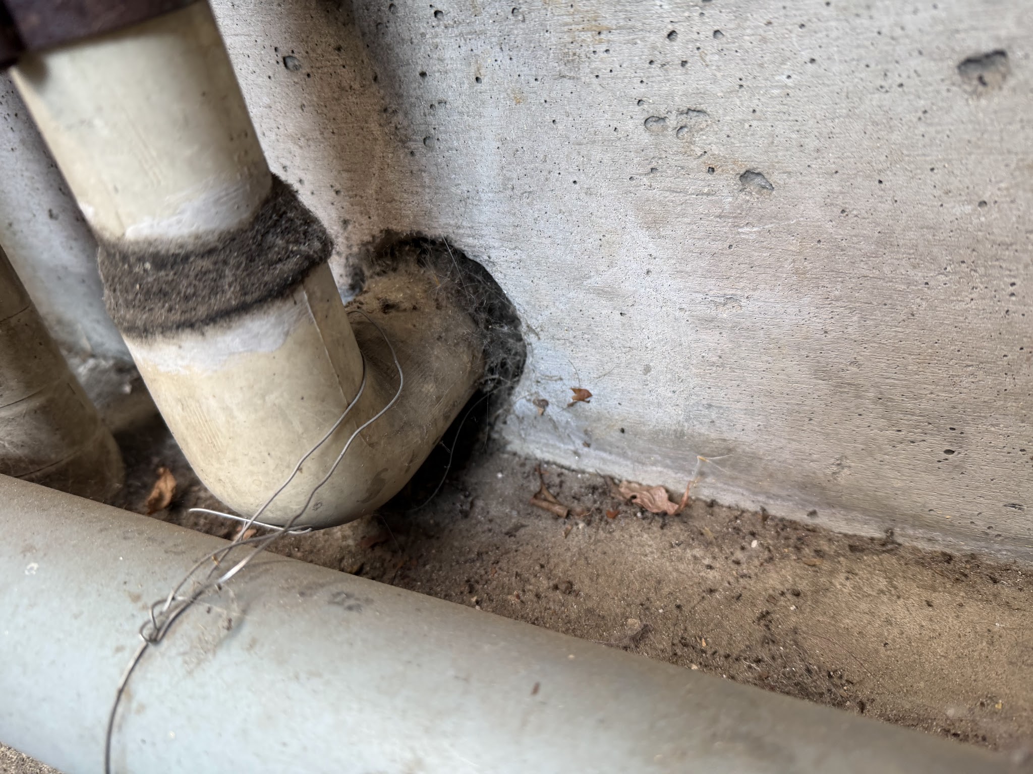 東京都目黒区ネズミ駆除現場の写真10