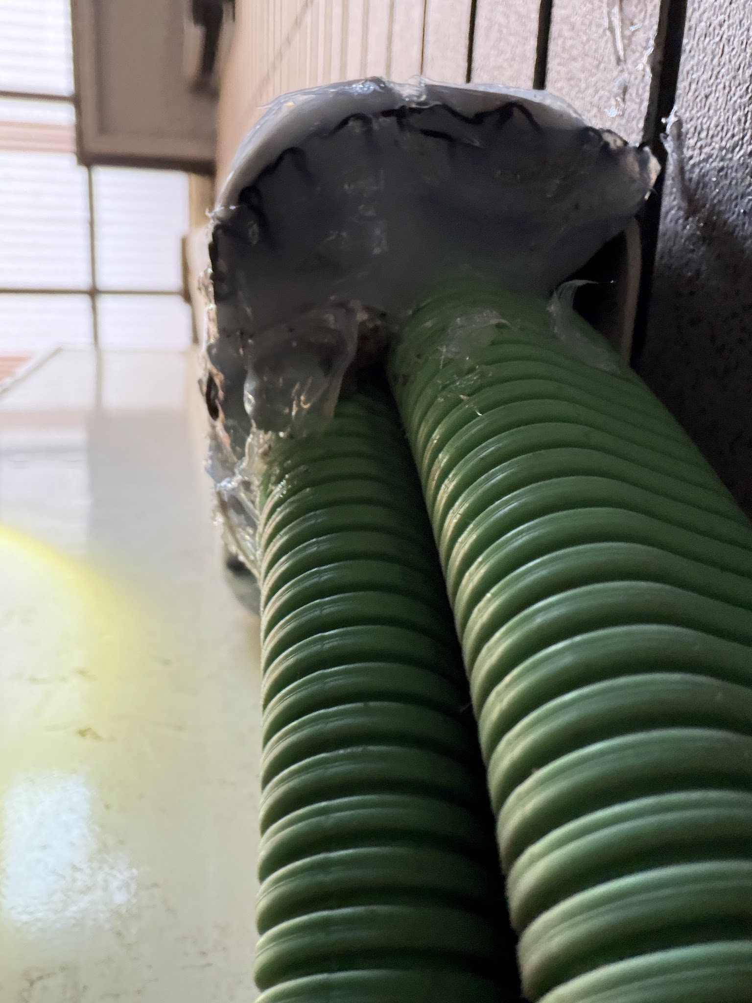 東京都目黒区ネズミ駆除現場の写真30