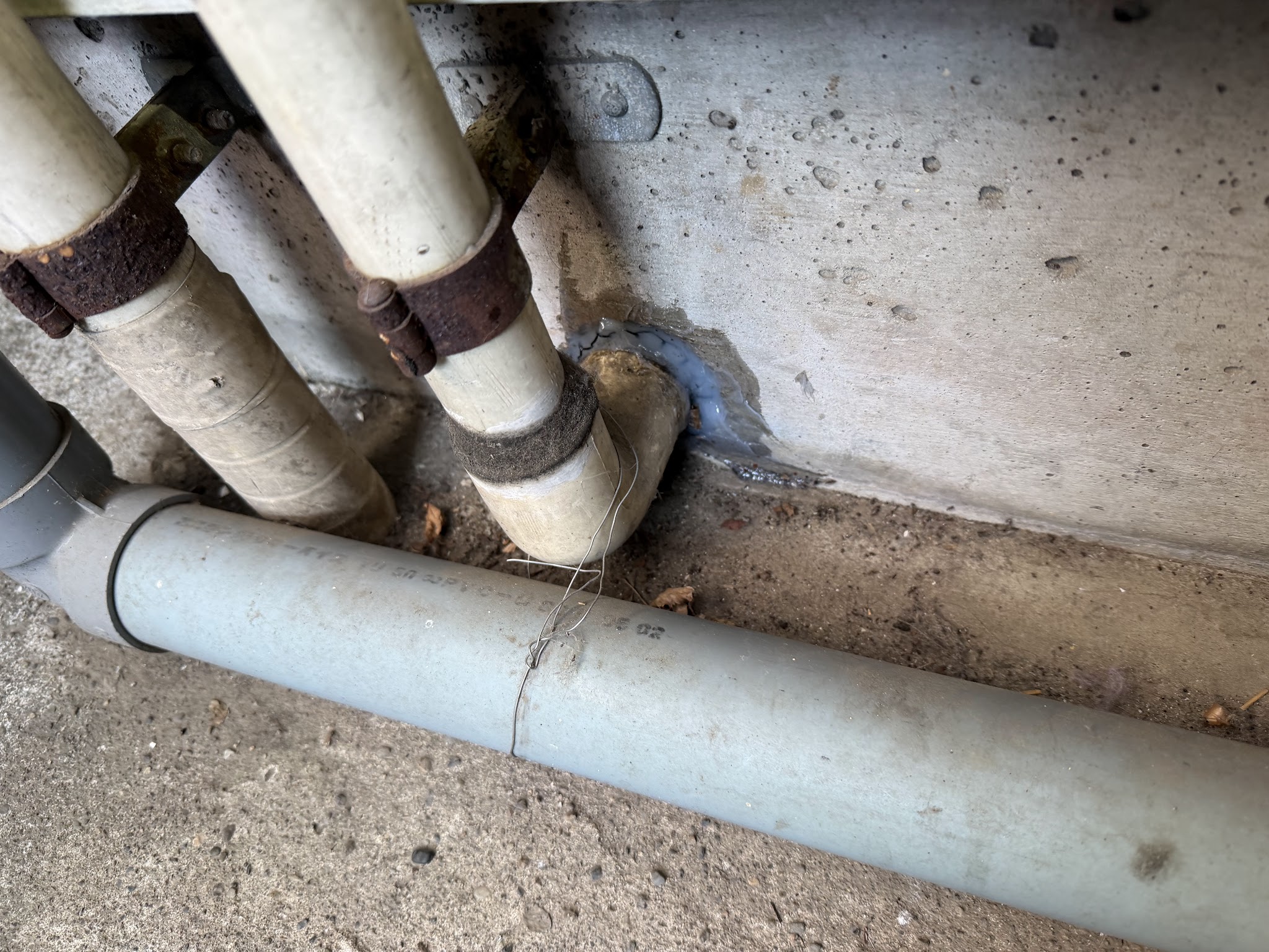 東京都目黒区ネズミ駆除現場の写真7