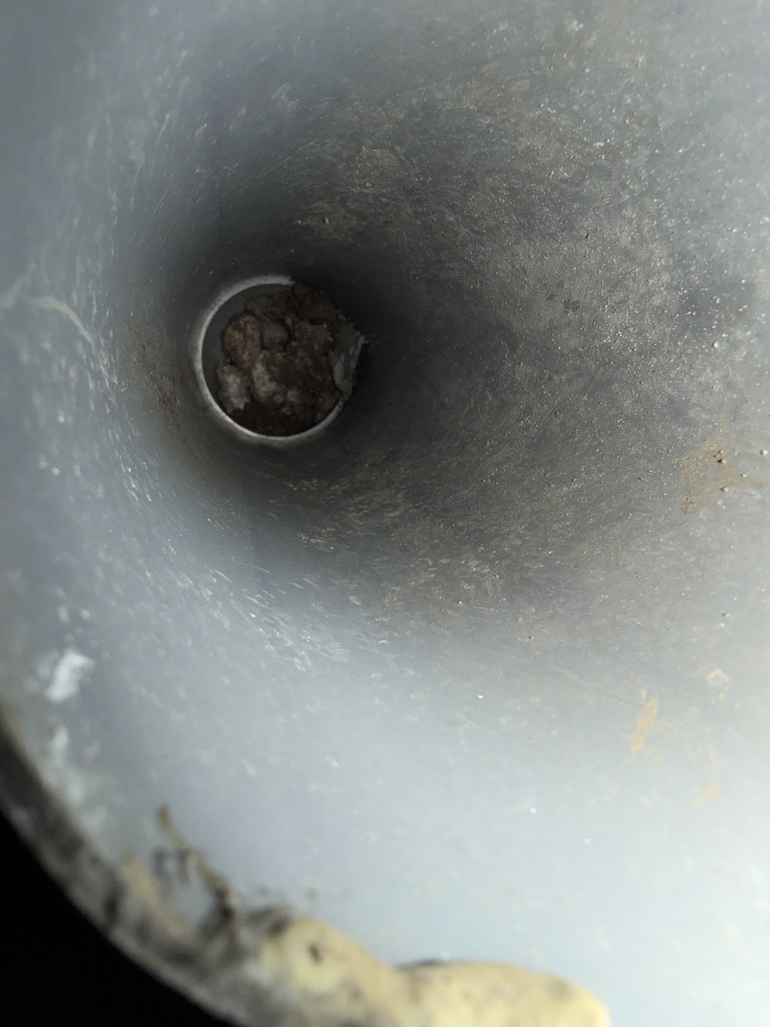 東京都目黒区ネズミ駆除現場の写真27