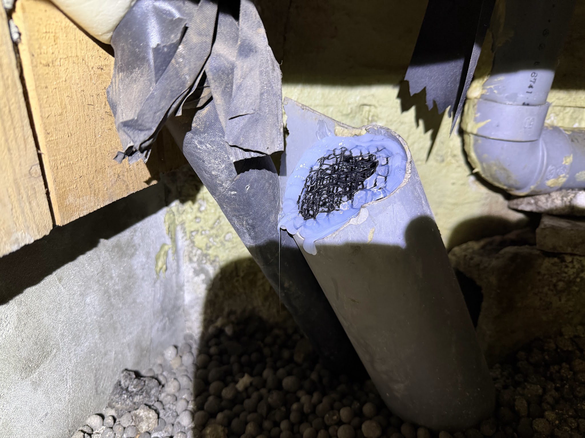 東京都目黒区ネズミ駆除現場の写真3