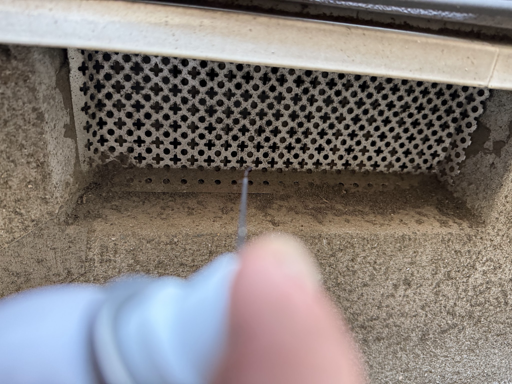 東京都目黒区ネズミ駆除現場の写真5