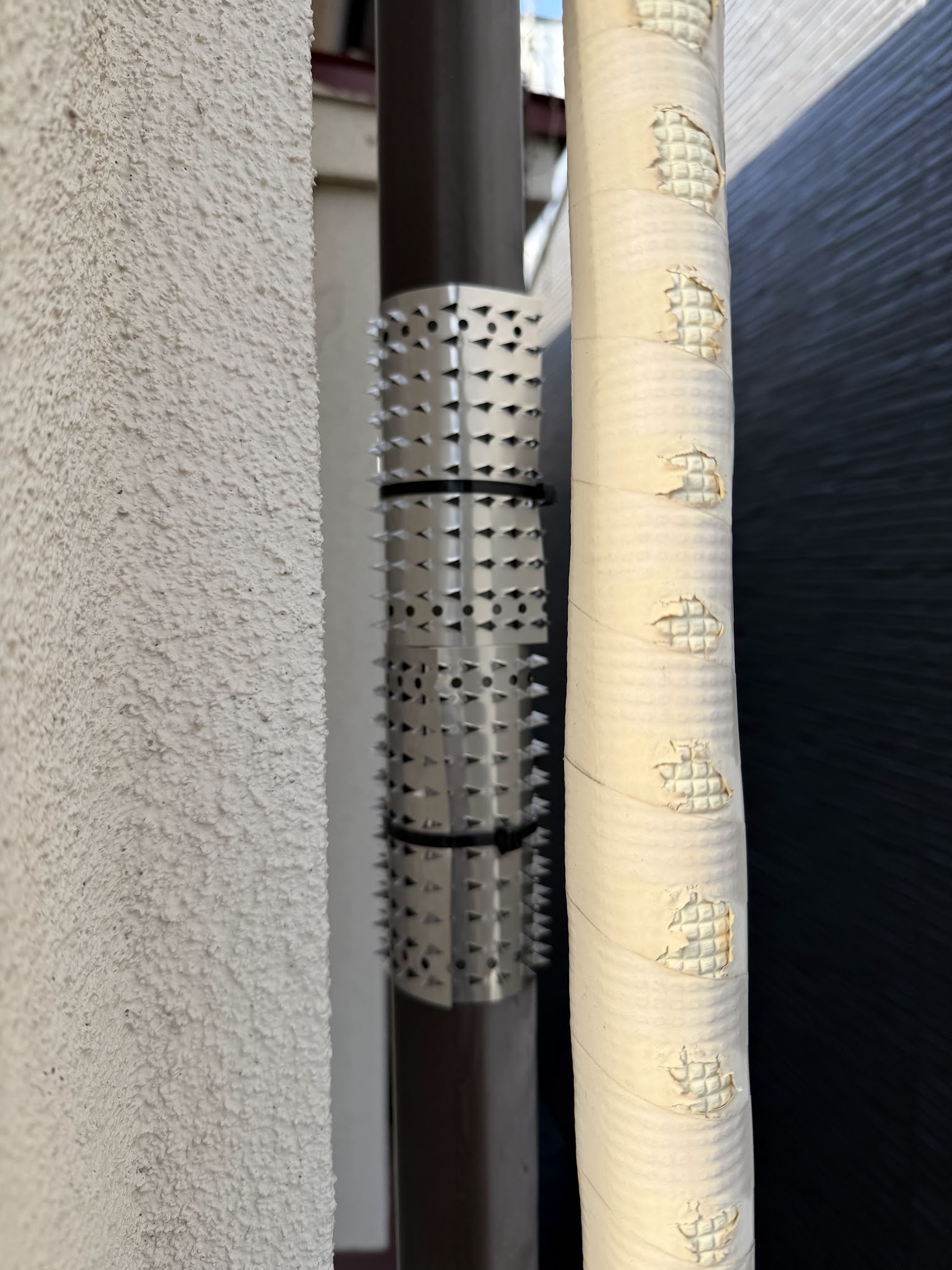 東京都目黒区ネズミ駆除現場の写真19